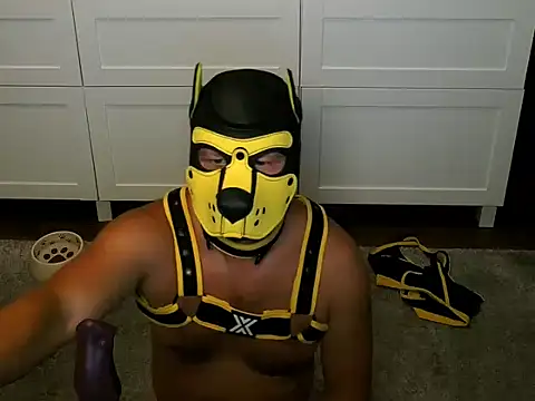 WildyLynx webkamerás műsora