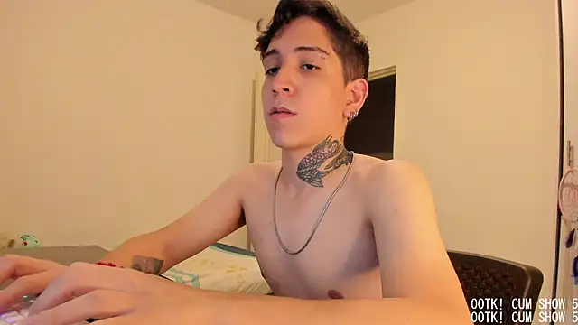 Michael_v77n Webbikameraesitys