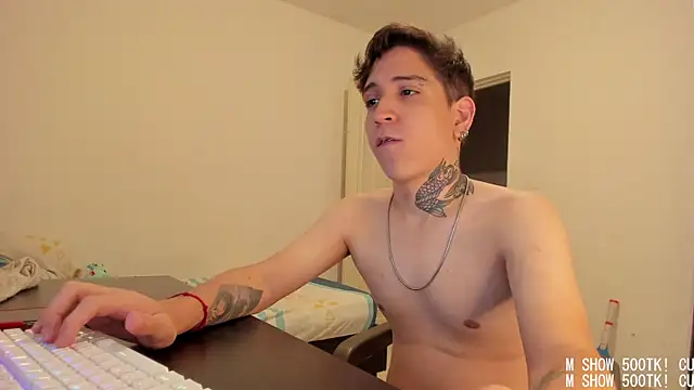 Michael_v77 Webcam Show