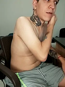 Michael_v77n Webbikameraesitys