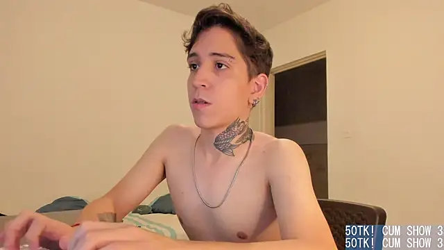 Michael_v77n Webbikameraesitys