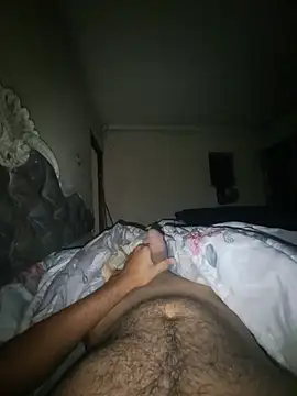 Show Webcam de hr3nyh3ard
