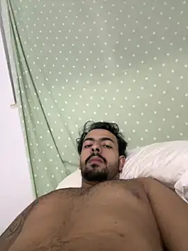 artzin2702 Webcamshow