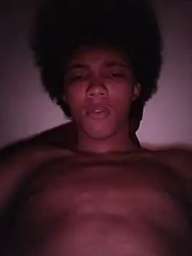Show Webcam de Kort13