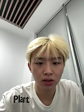 Cnmp6666 网络视讯表演