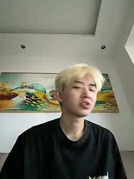 Cnmp6666 网络视讯表演