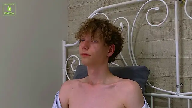 William_Curlisn Webbikameraesitys