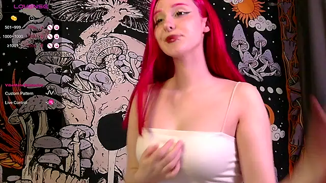 Webkamerová show MineDollSk