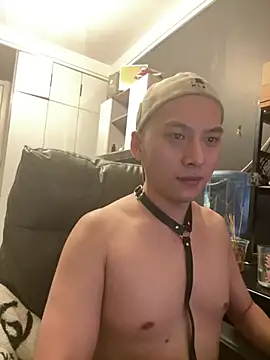 yichen008 网络视讯表演
