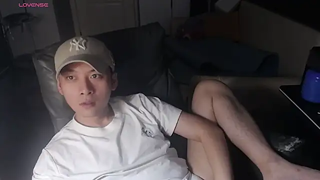 yichen008 网络视讯表演