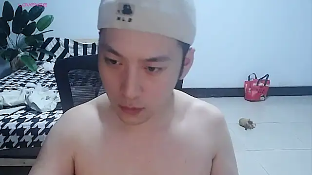 โชว์เว็บแคมของ yichen008