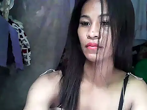 simplytrans Show Webcam