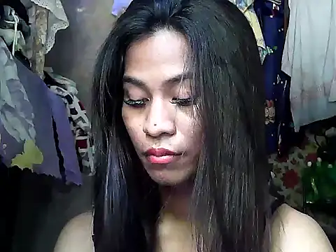 simplytrans Pertunjukan Webcam