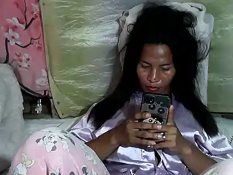 Show Webcam de simplytrans