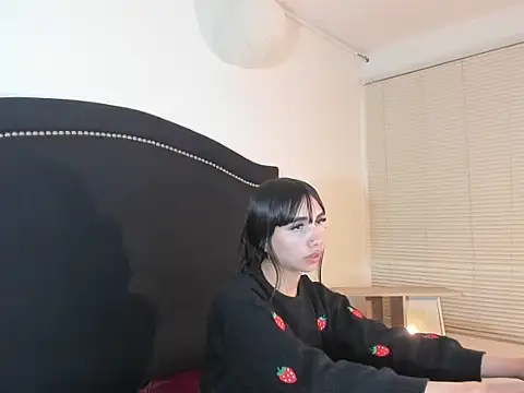 Valey_nikoln Webbikameraesitys