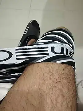_Paisaa_HardHotn Webbikameraesitys