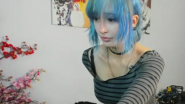 syma_meyn Webbikameraesitys