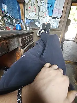 idealgay: διαδικτυακό σόου στην κάμερα