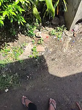 Show Webcam de notypusa123