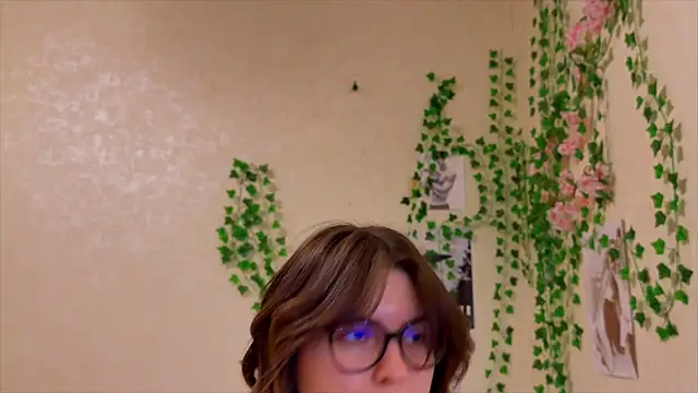 Show Webcam de orangeme