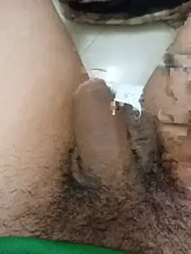 Show webcam de misterpanika