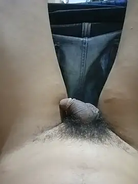 عرض كام misterpanika