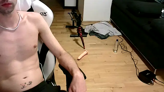 VansGayVie Webcam-Show