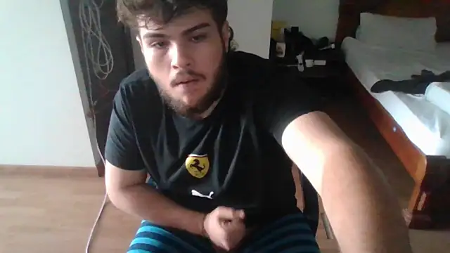 Show webcam de lipzard