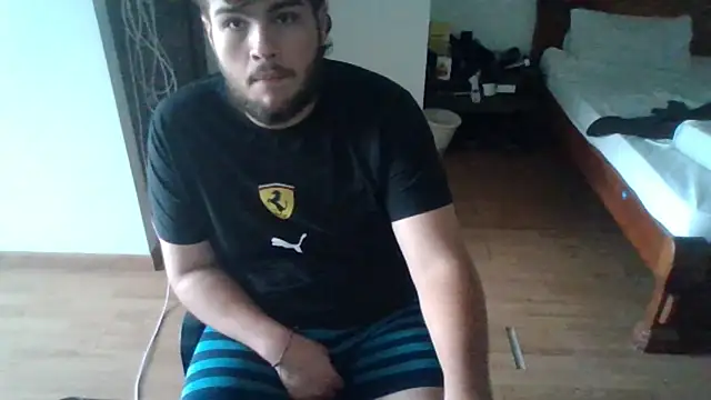 Show de webcam de lipzard