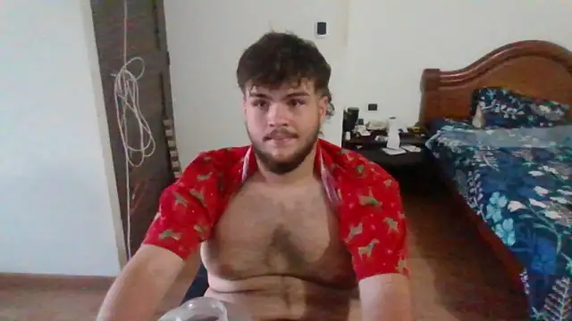 Show Webcam de lipzard