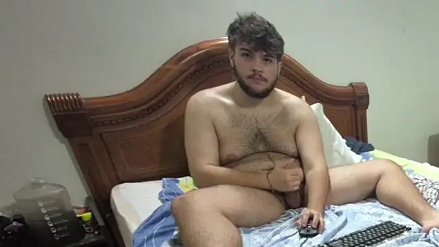 Show Webcam de lipzard
