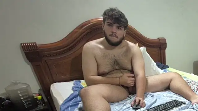 Show webcam de lipzard