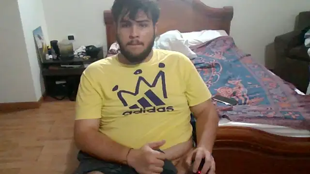 Show webcam de lipzard