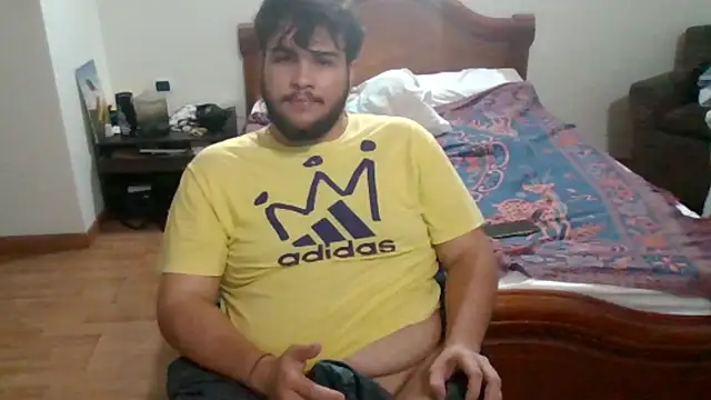 Show de webcam de lipzard