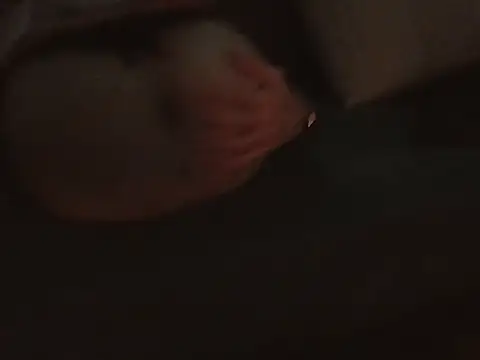 عرض كام HadesPersephone