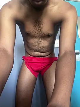 Show modela shkiv na web-kameri