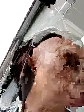 Živá chatovací místnost lylai18
