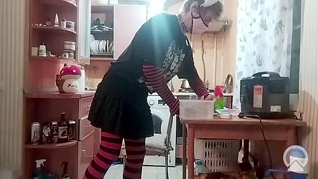 Pertunjukan Kamera Web Tiler-cat