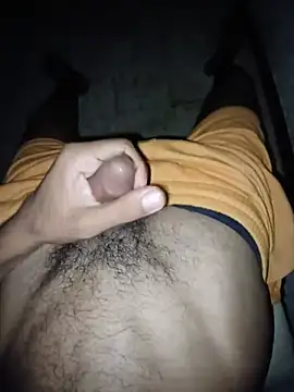 Ramzibbc219 ওয়েবক্যাম শো