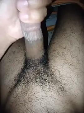 Ramzibbc219 网络视讯表演