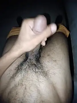 Ramzibbc219のウェブカメラショー