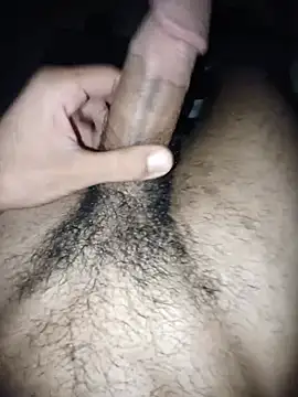 Ramzibbc219n Webbikameraesitys