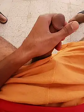Show webcam de Ramzibbc219