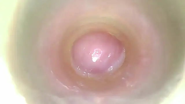 karol_stom 网络视讯表演