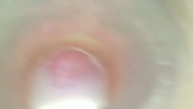 Chat +18 de karol_stom ao vivo