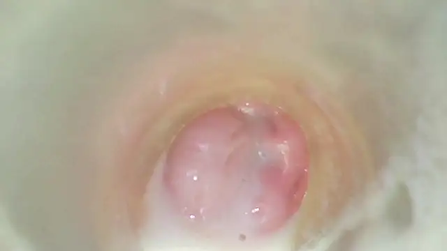 karol_stom 라이브 XXX 채팅