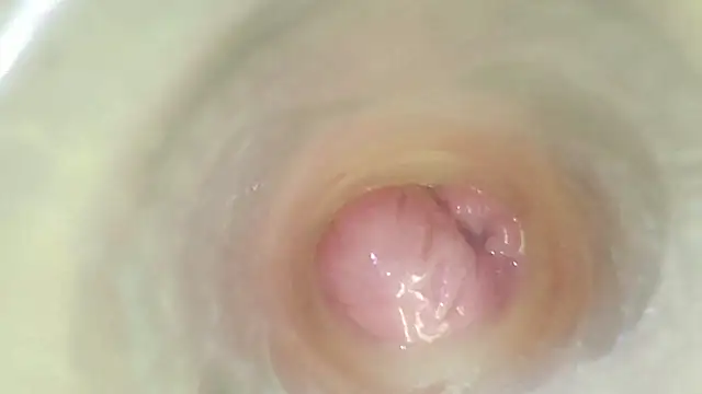 Show de karol_stom na webcam
