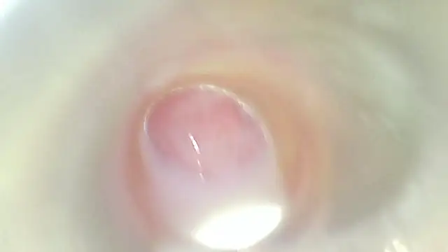 Czat XXX na żywo – karol_stom