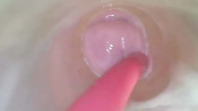 karol_stom 现场XXX聊天