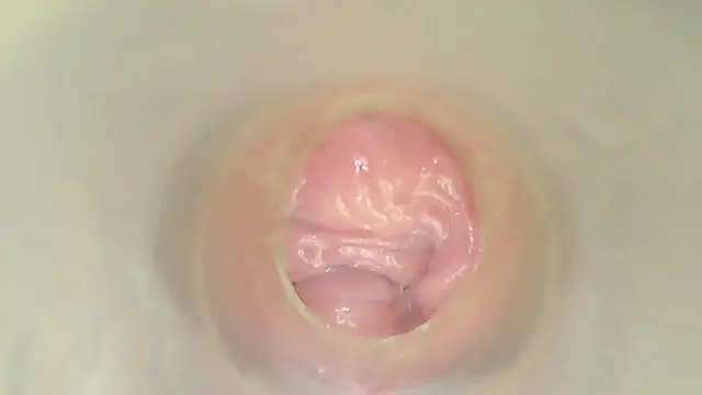karol_stom 웹캠 쇼